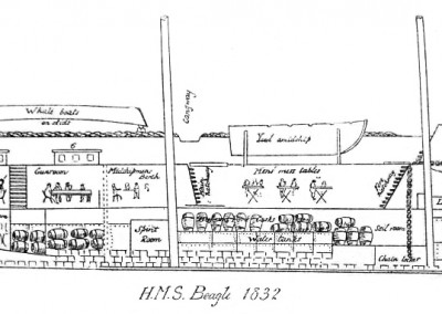The Crew Quarters on HMS Beagle